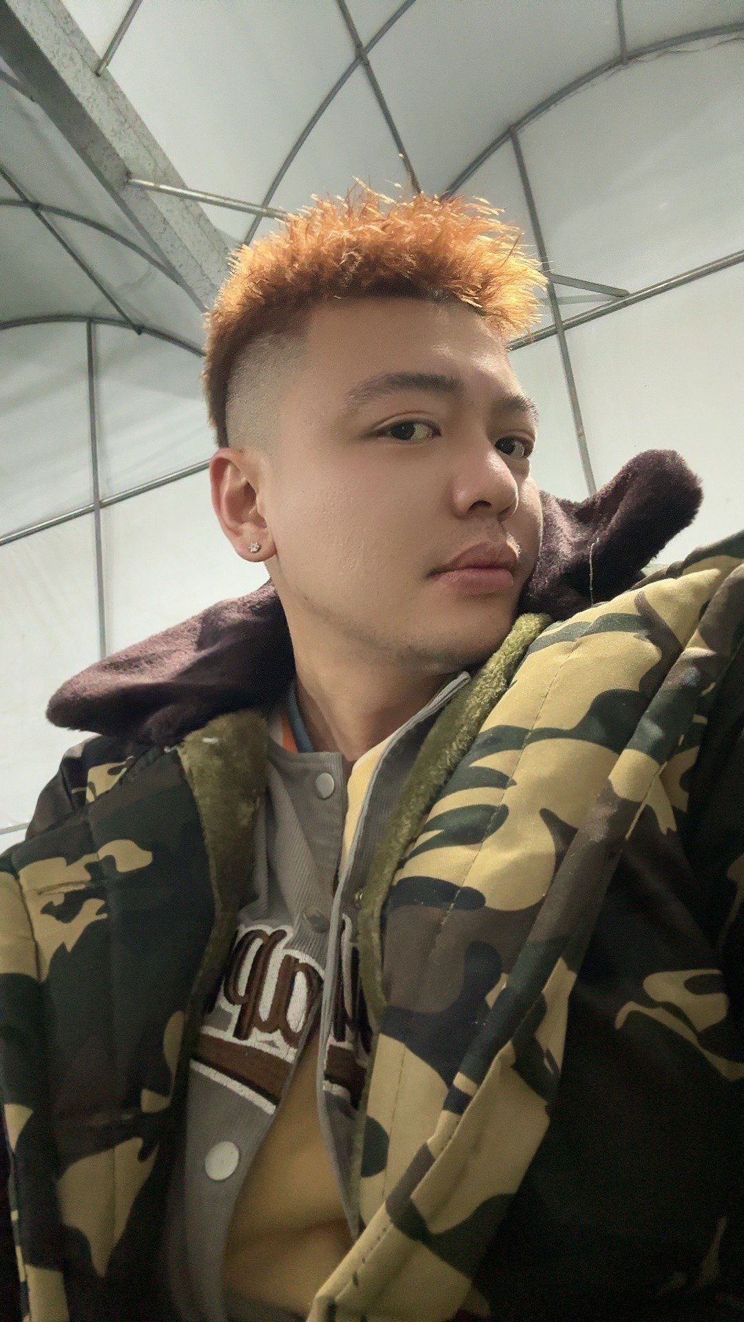 波哥不想卖花