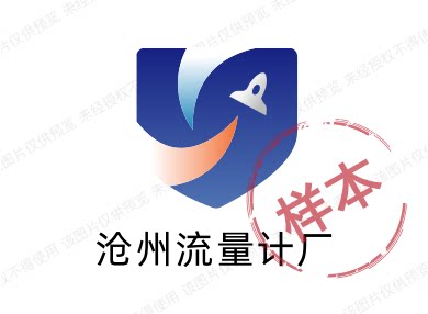 沧州流量计工厂店
