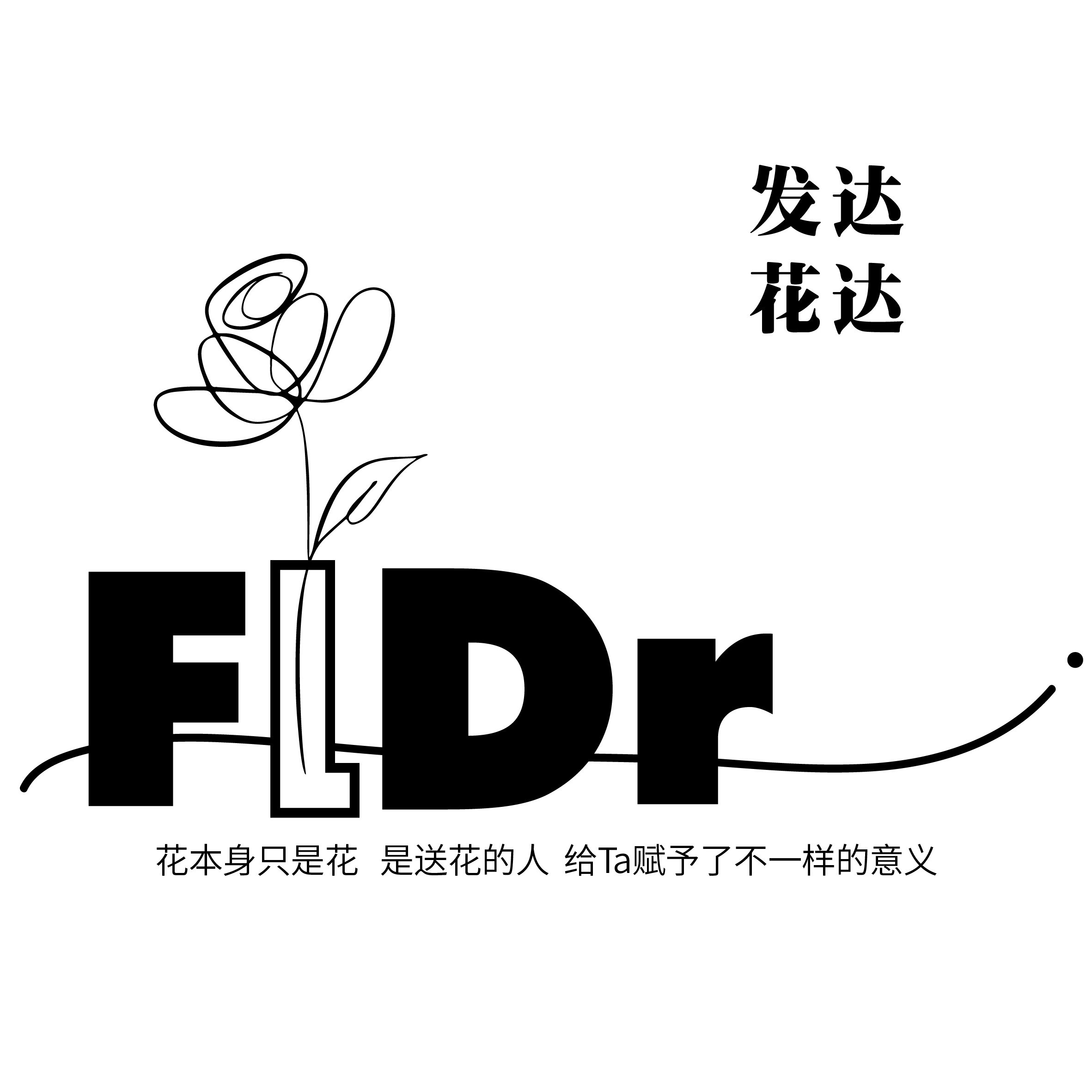 FlDr发达