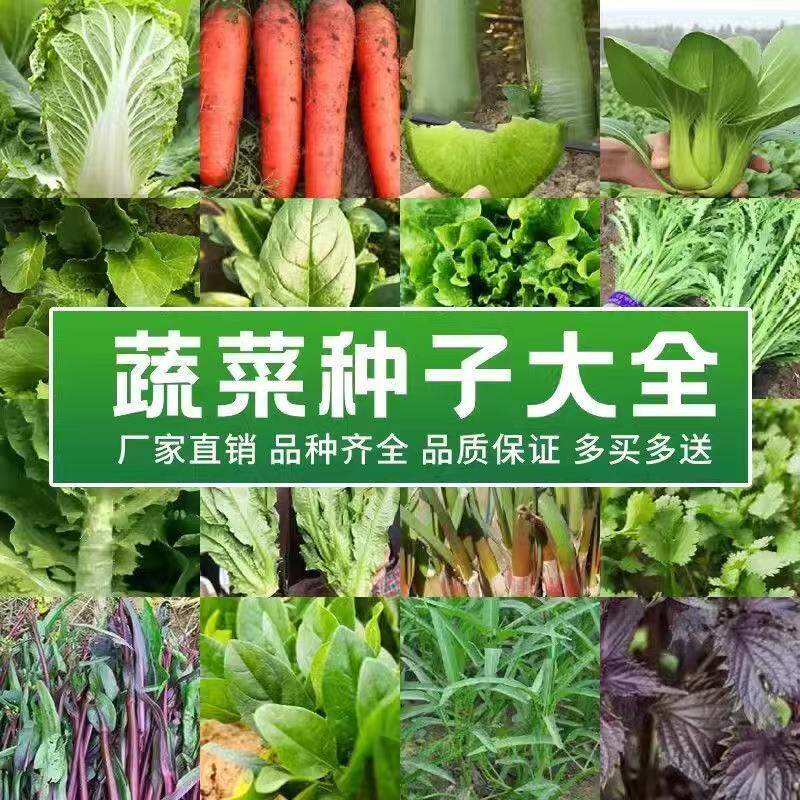 蔬菜瓜果种子经营部