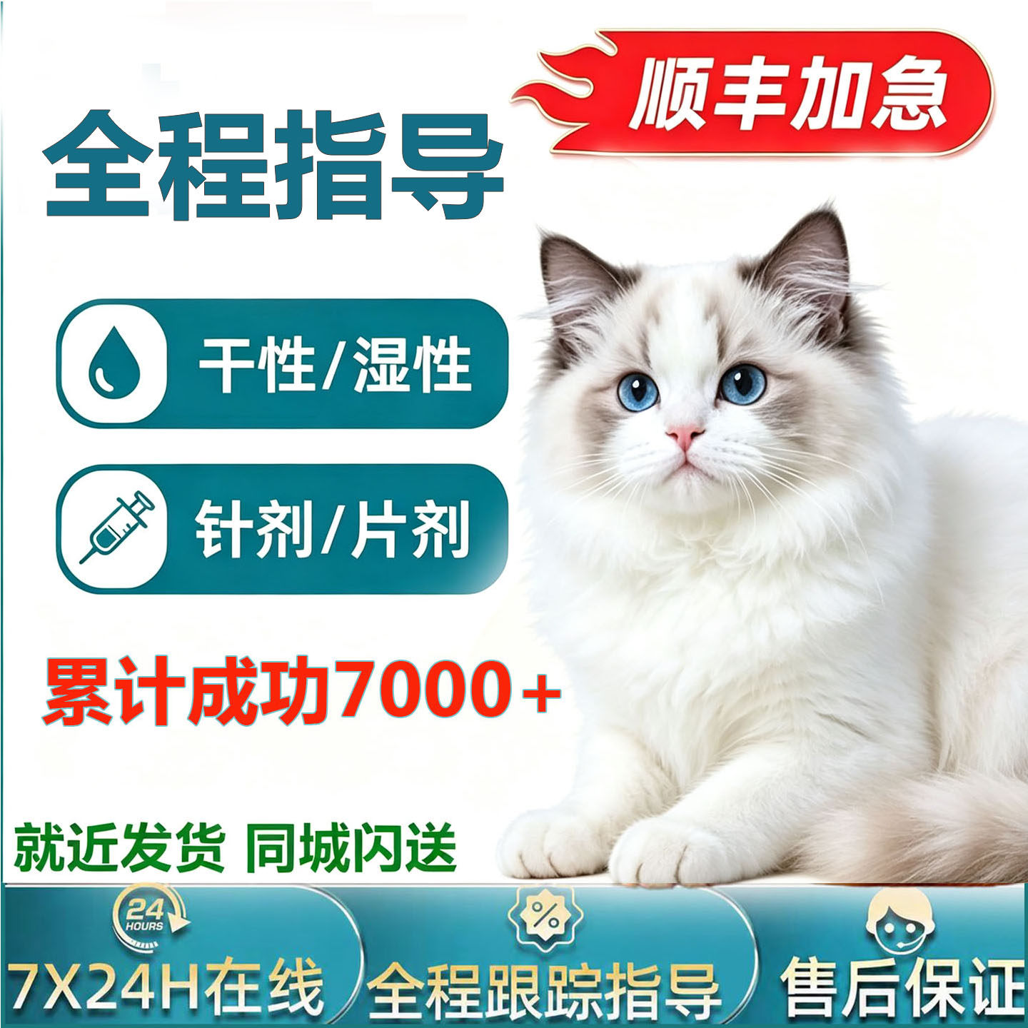 喵喵宠喵咪针剂油剂水剂口服片剂