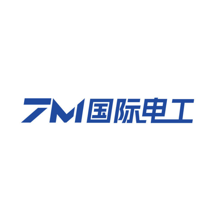 国际电工批发店