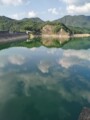 树洞先森您好