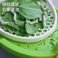 蚕宝农场
