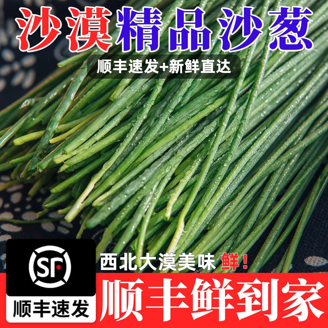 大漠原产地沙葱生鲜馆