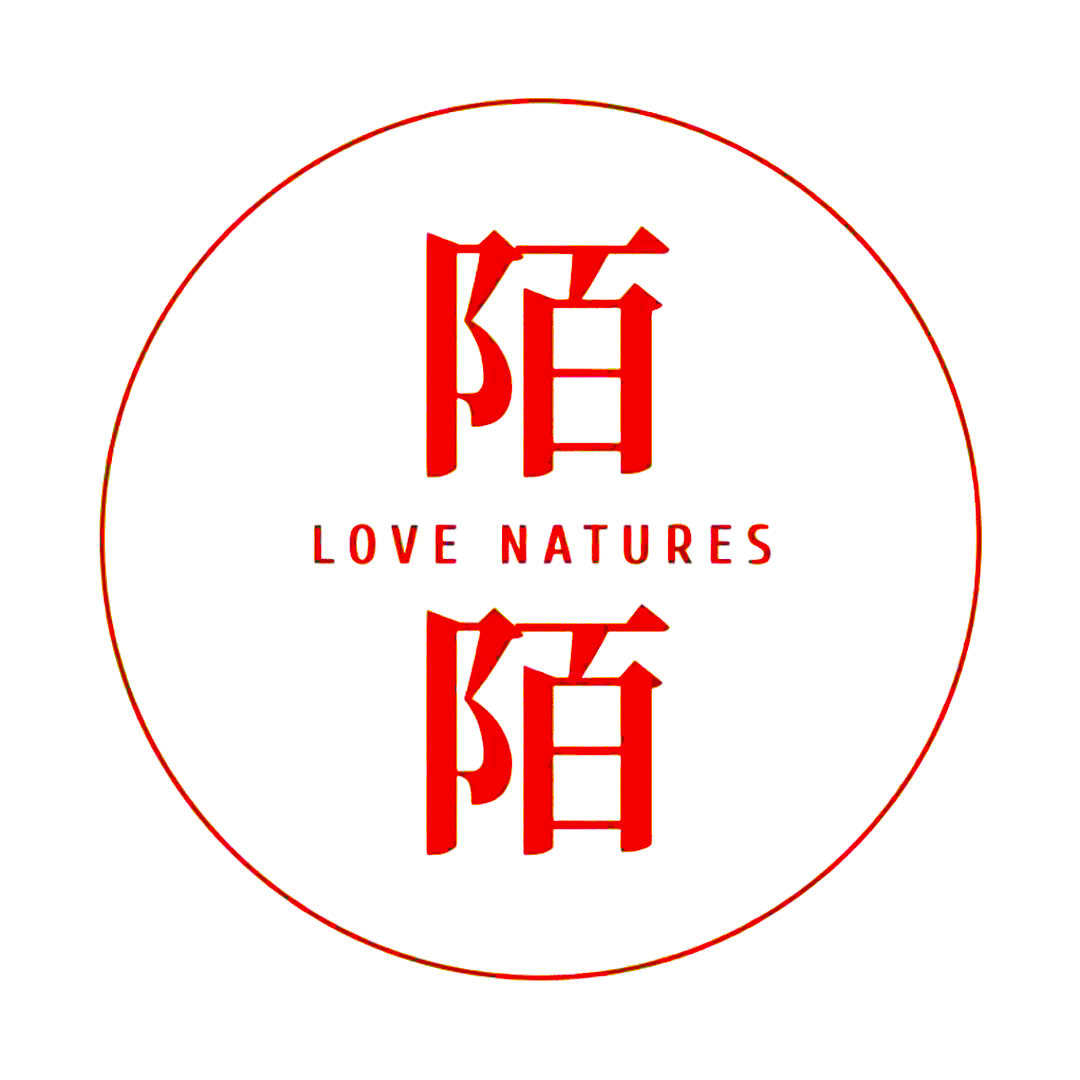 陌陌官方直营店 店铺LOGO