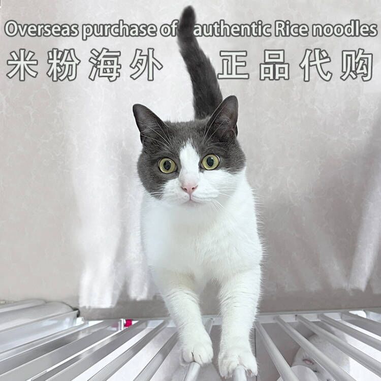 米粉海外正品代购