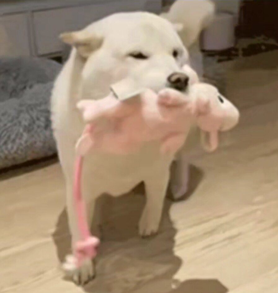莫扎特小店