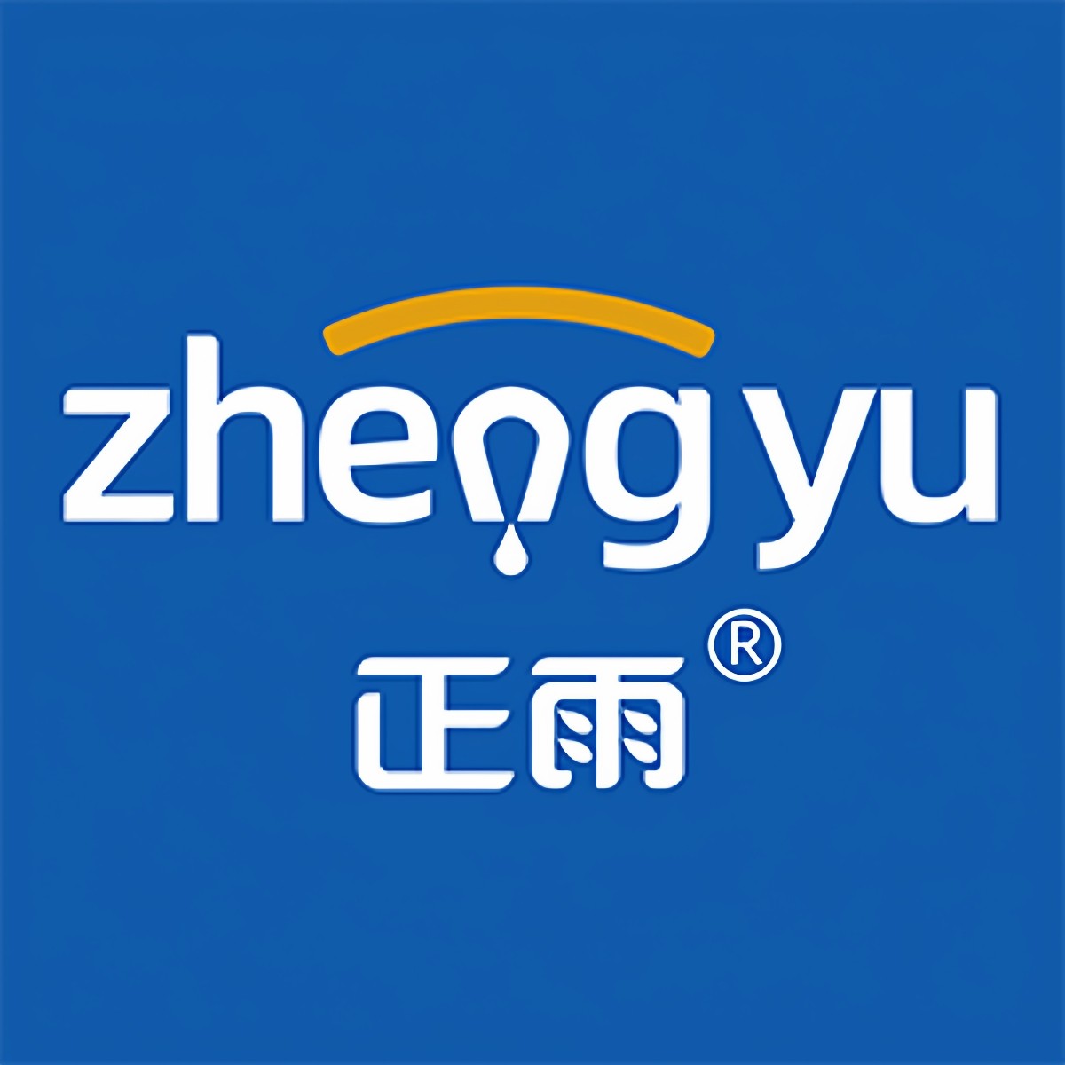 正雨旗舰店 店铺LOGO