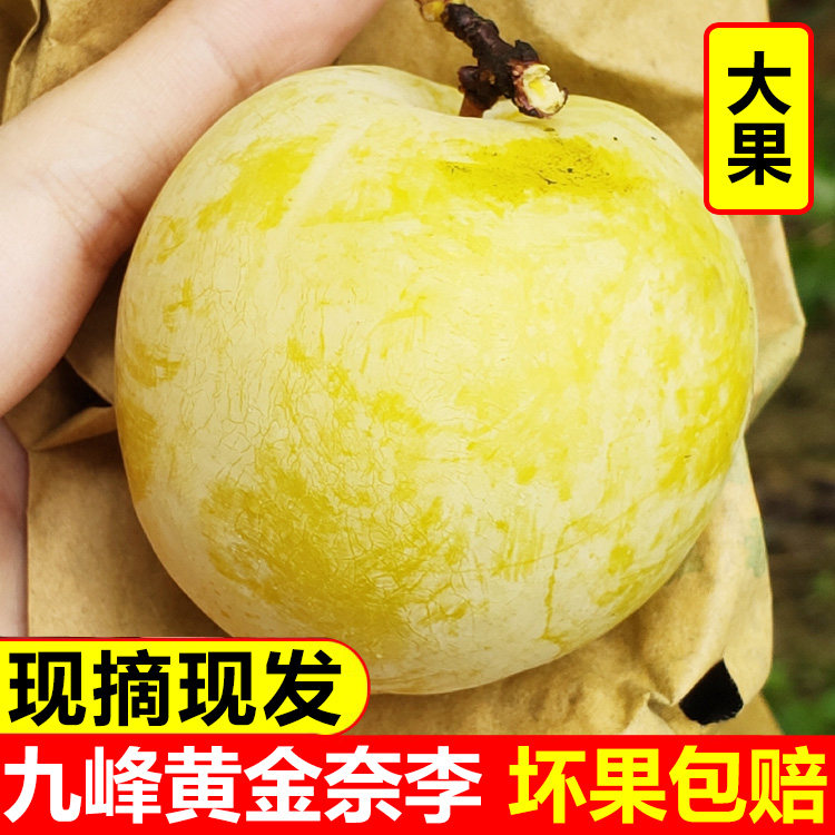 农村山里人果园特产坊