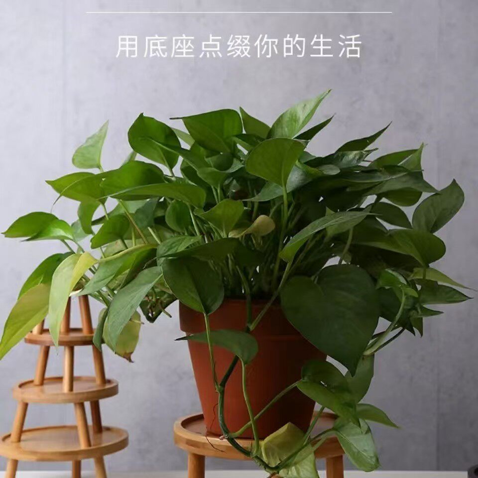 实木花架竹制品花盆 店铺LOGO
