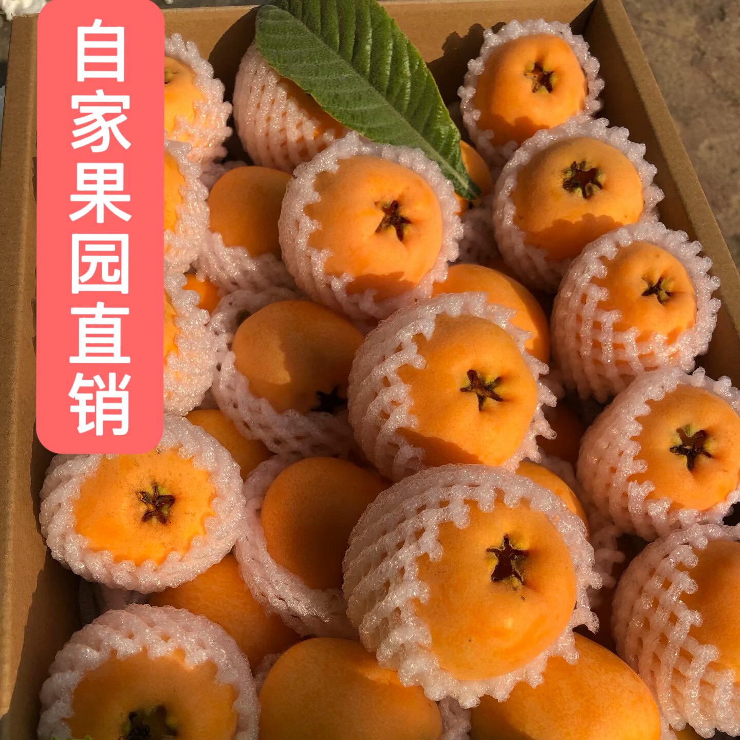 龙泉山水果特产