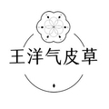 王洋气皮草