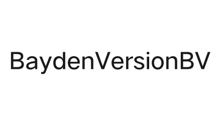 BaydenVersionBV腰带专柜