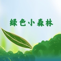 绿色小森林小店