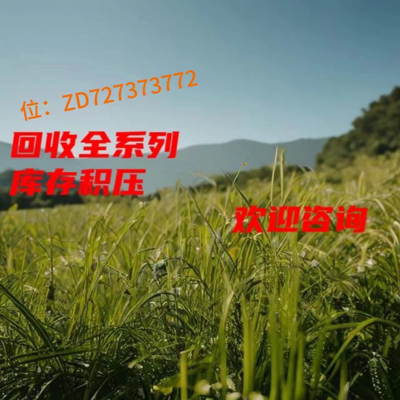东晟一 欢迎了解