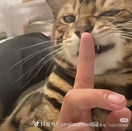 星亿甄选
