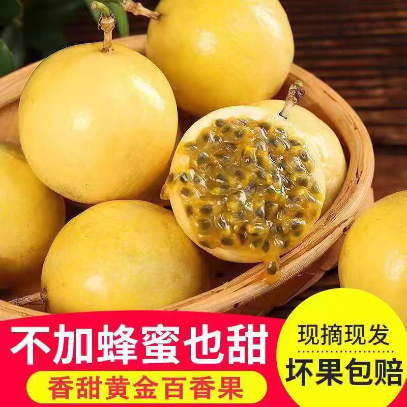 天天鲜生1号店 店铺LOGO