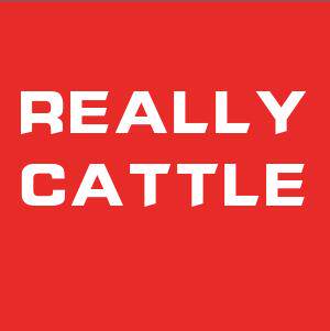 REALLYCATTLE女装复古店