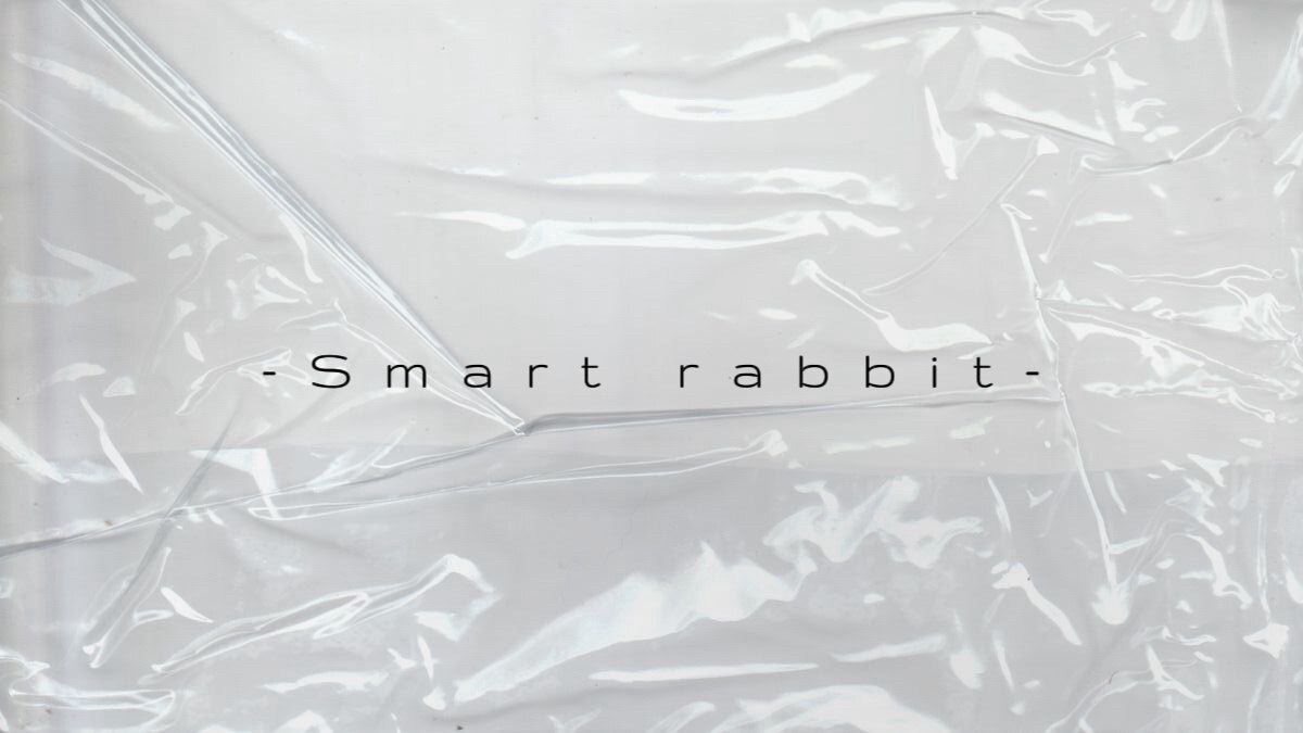 Smart rabbit设计师店