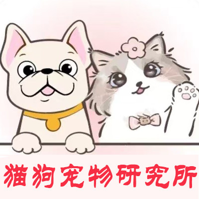 猫狗宠物研究所