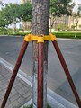 嘉诚园林支护