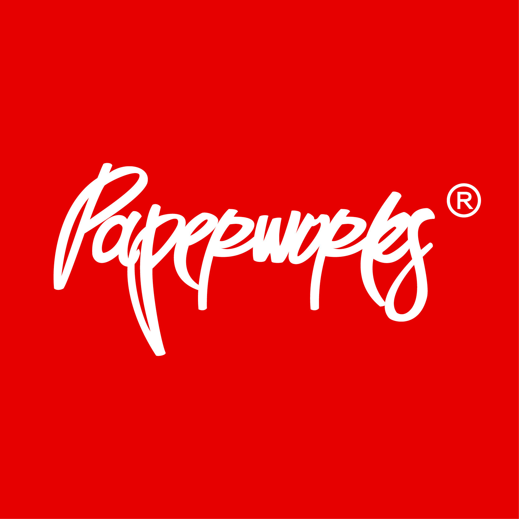 PAPERWORKS官方店