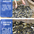 湖佛养殖场