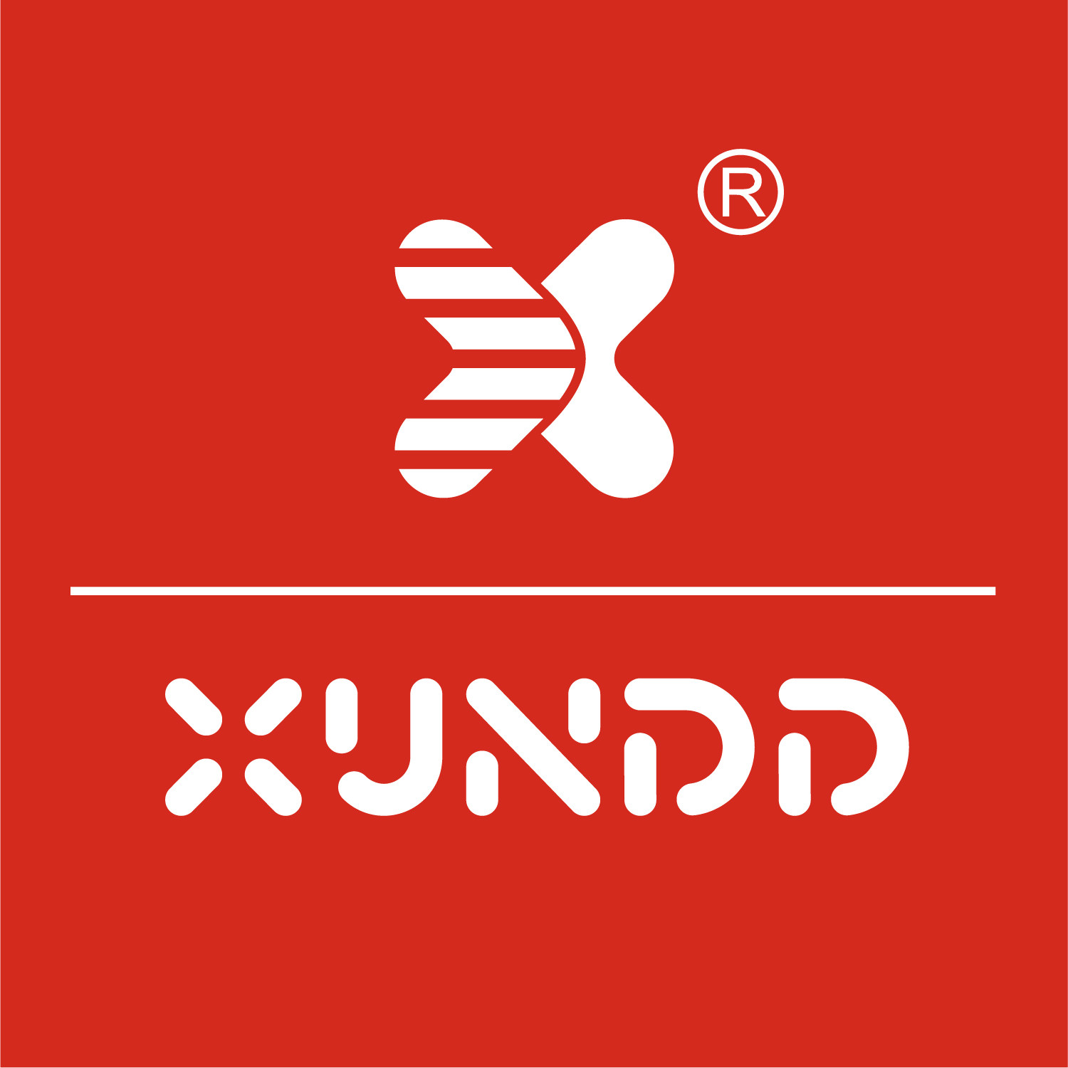 讯迪旗舰店 店铺LOGO