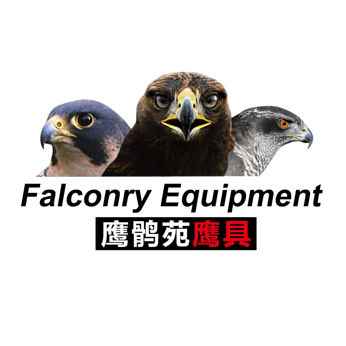 中华鹰鹘苑