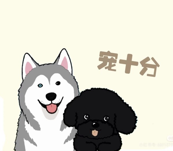 宠十分 店铺LOGO