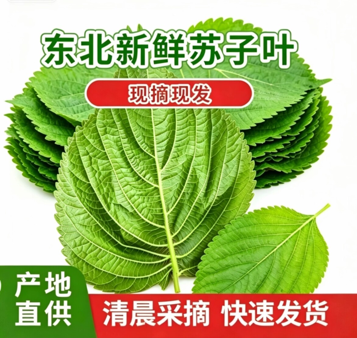 唐福王