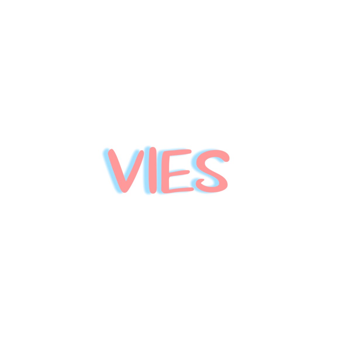 VIES 皮衣铺