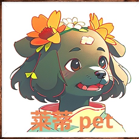 莱蒂Lady宠物