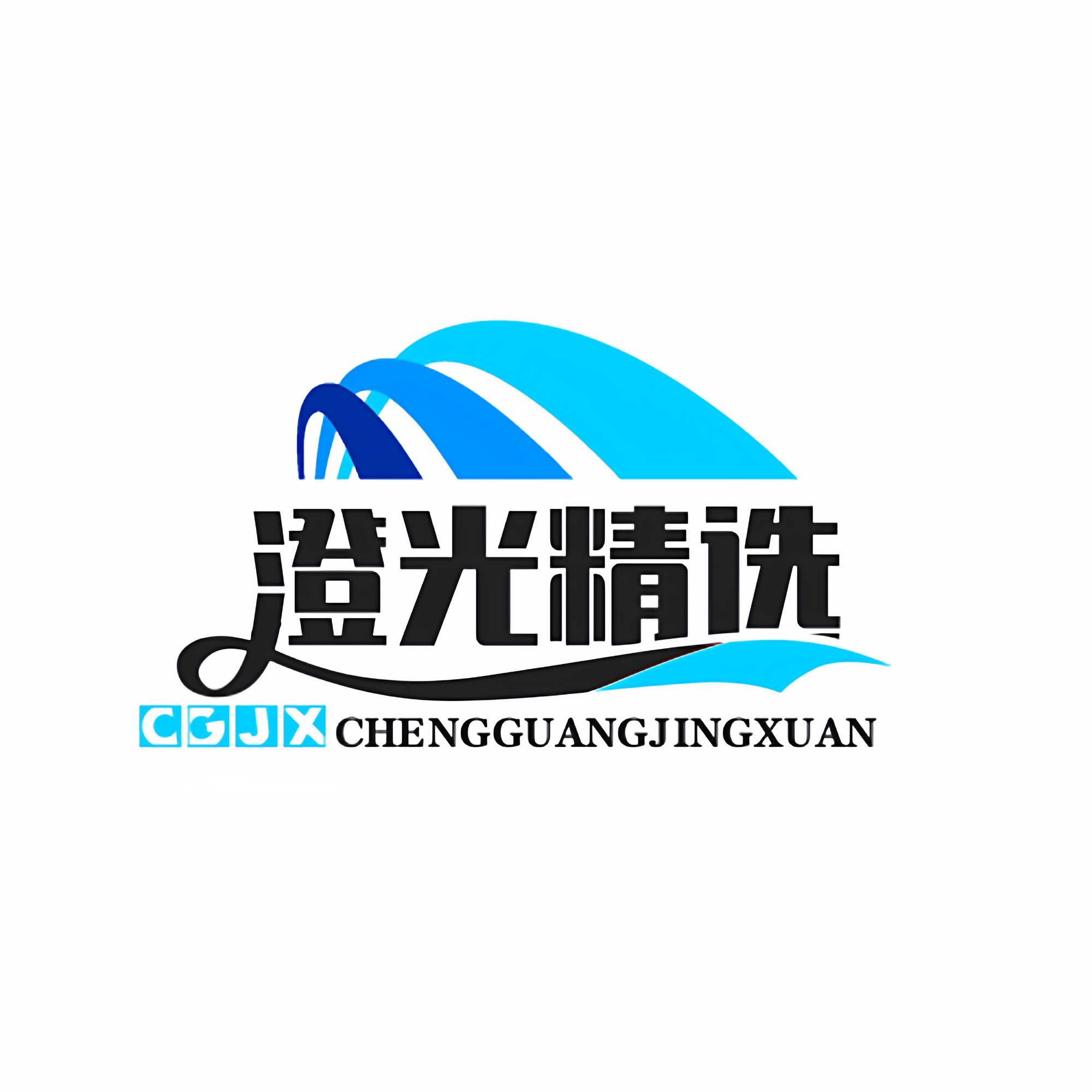 澄光精选 店铺LOGO