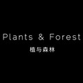 植与森林