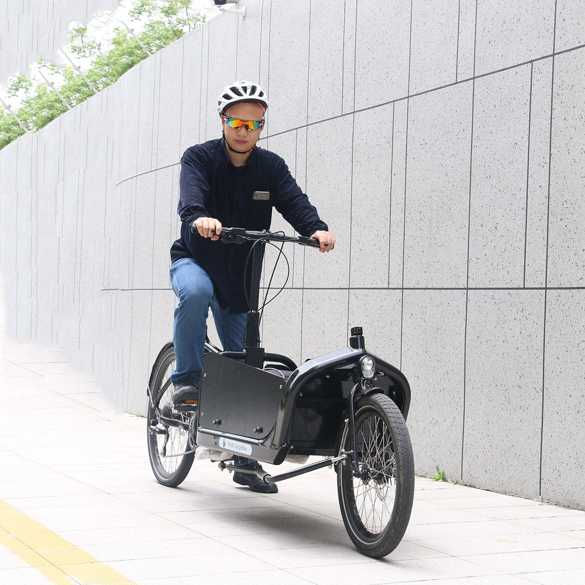 Azub Cargo Bike(ACB)