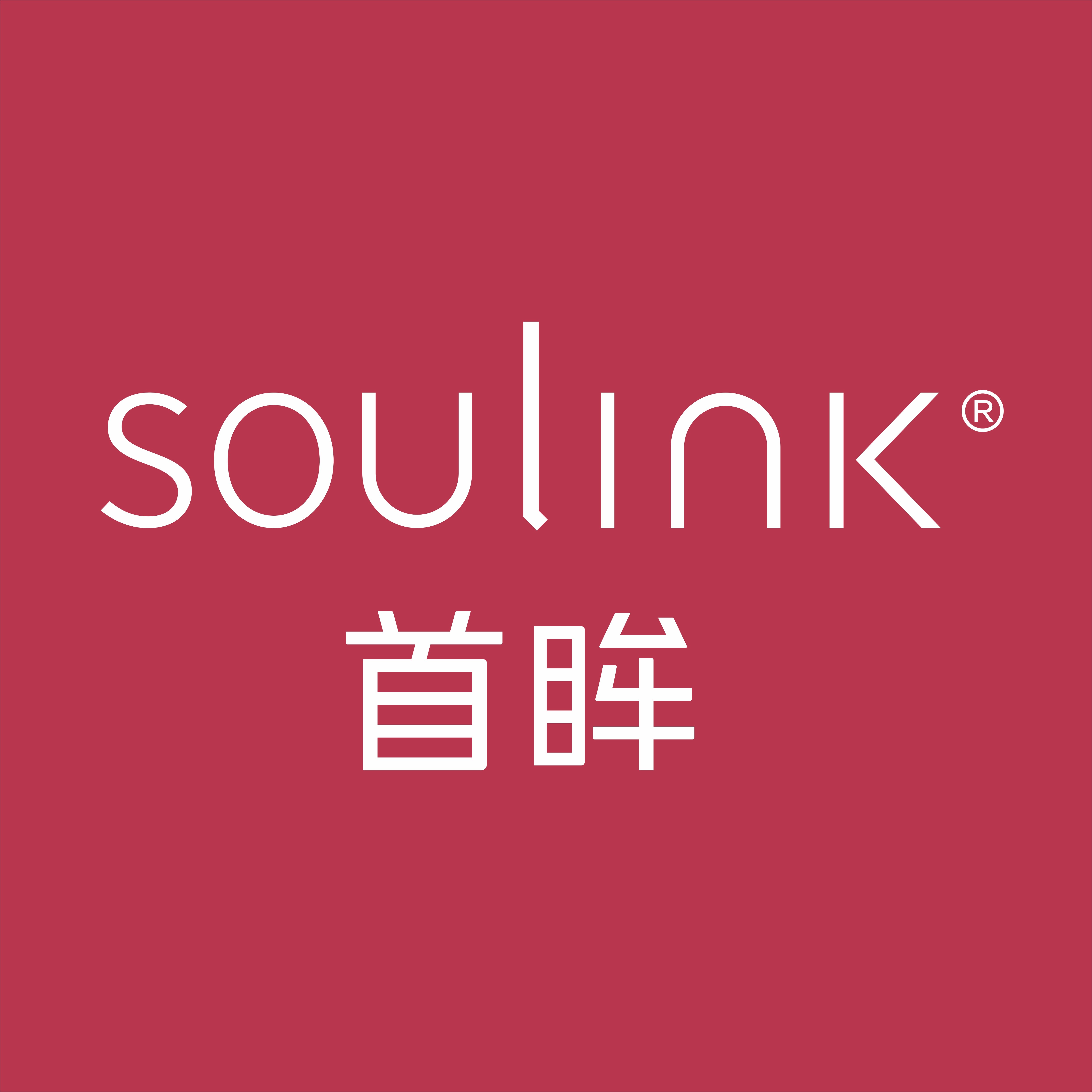 SouLink首眸旗舰店