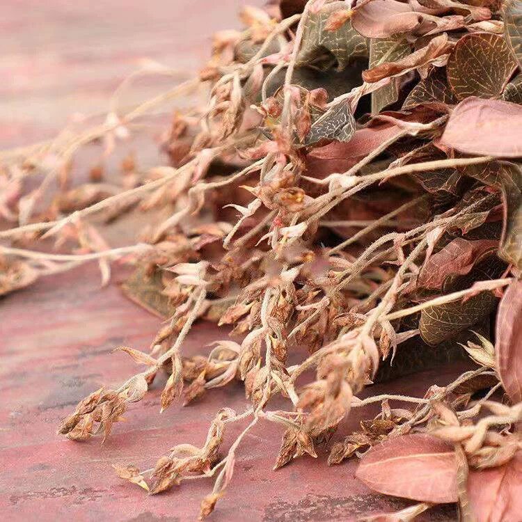 南靖实在好金线莲