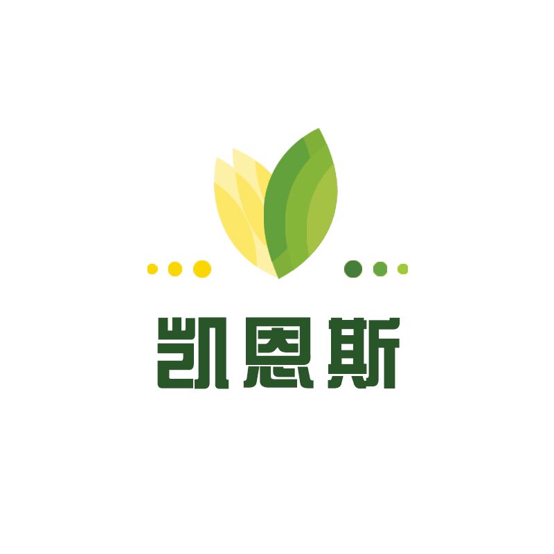 凯恩斯家居旗舰店