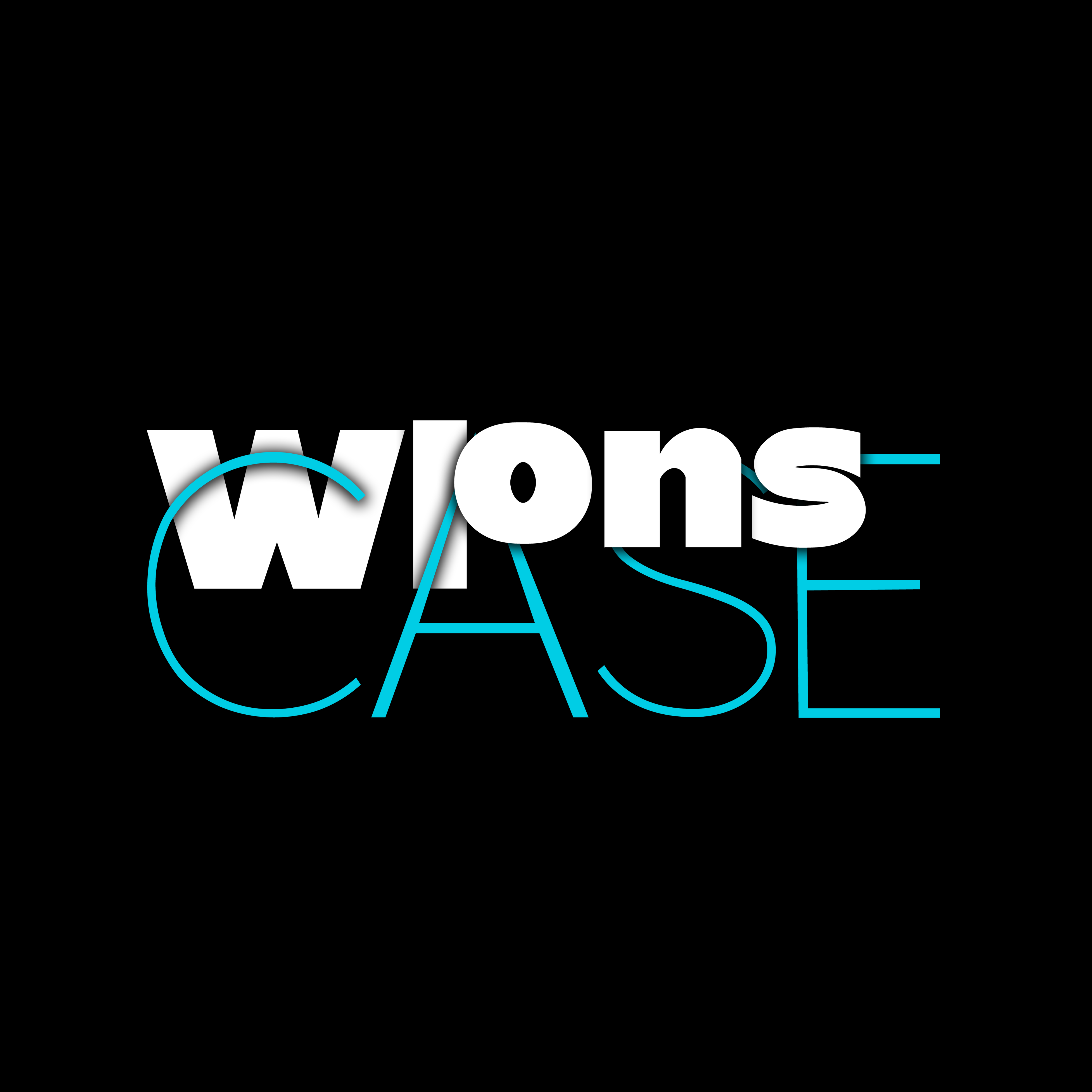 wlons旗舰店