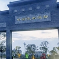 生态鱼苗批发