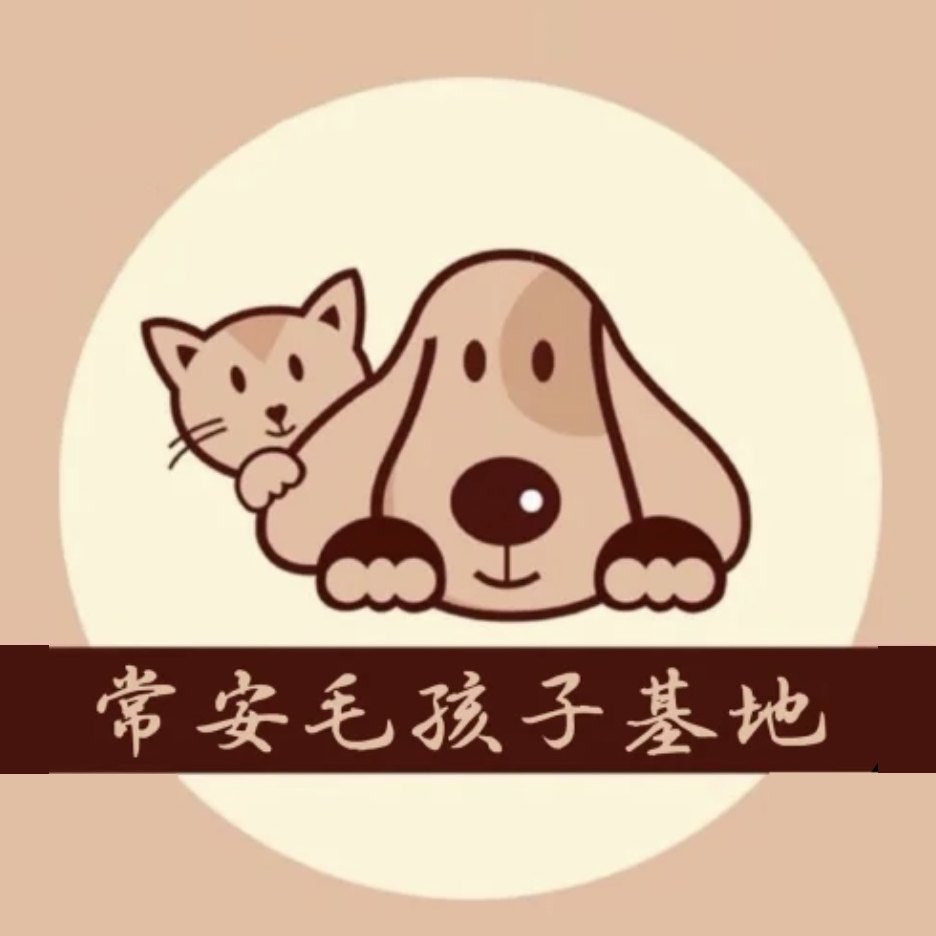 常安汪汪生活号