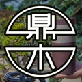 鼎木企业店 盆景工具铝丝