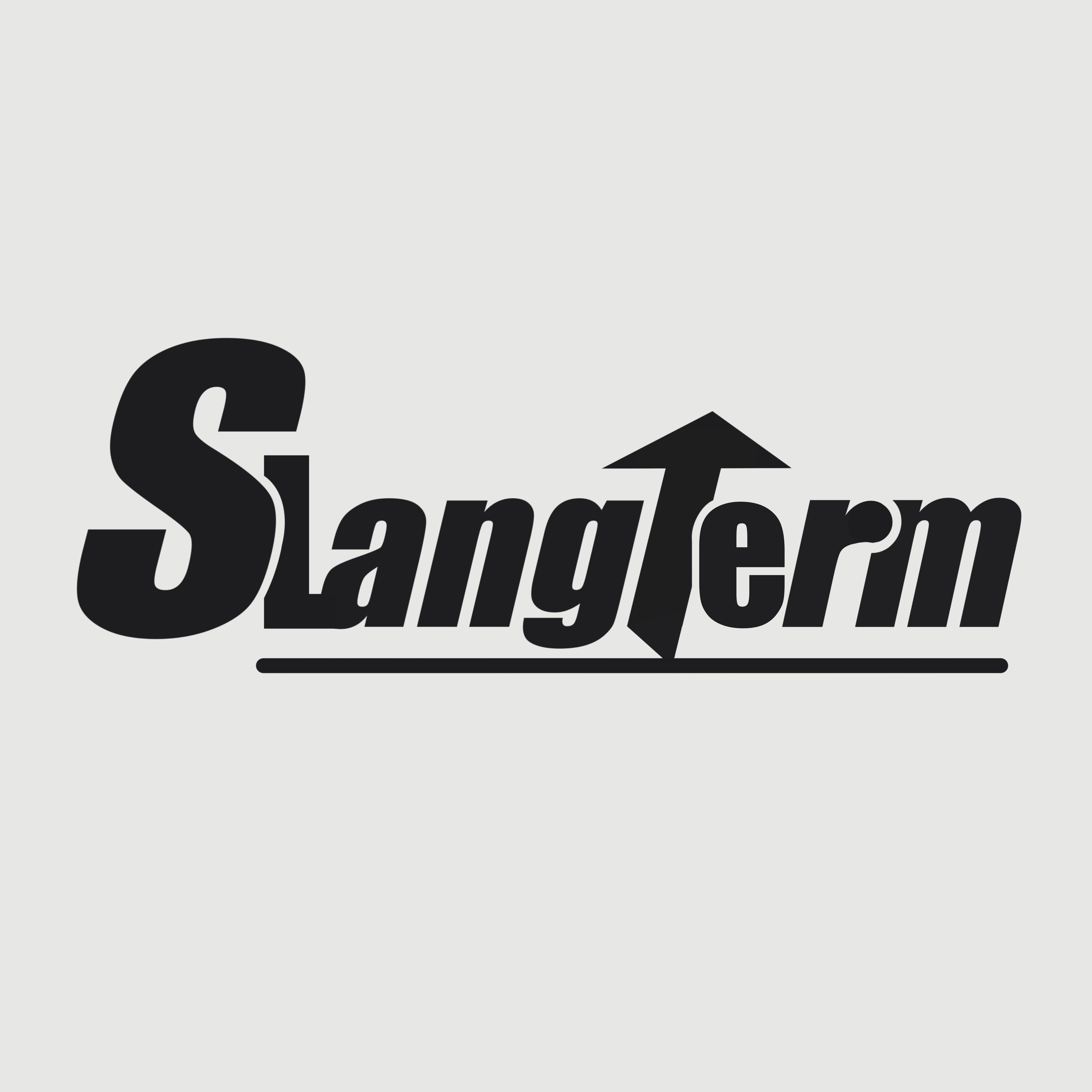 SLANG TERM线上商店