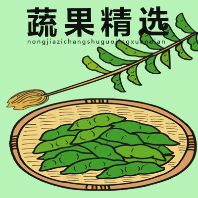 农家自产蔬果精选店 店铺LOGO