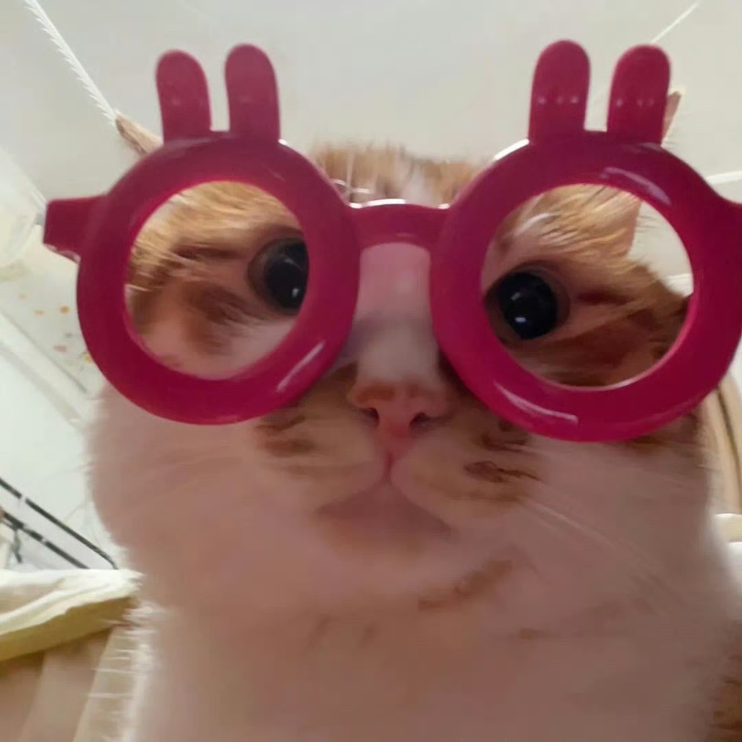 机器猫的百宝口袋