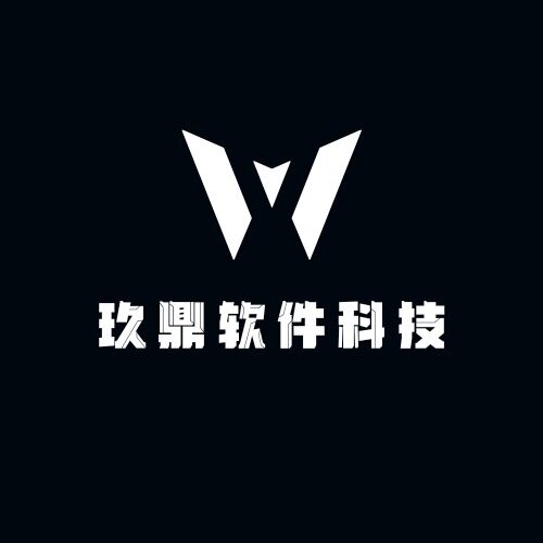玖鼎软件科技