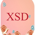 XSD饰品 店铺LOGO