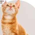 富粒滋爱尚宠物用品